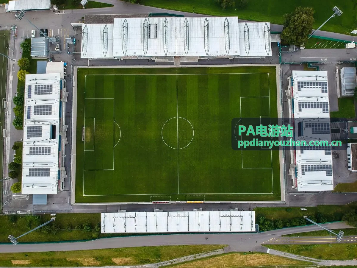 PA电游站入口指南封面